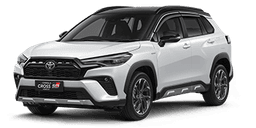 ZSG10A/T00_T218_1big