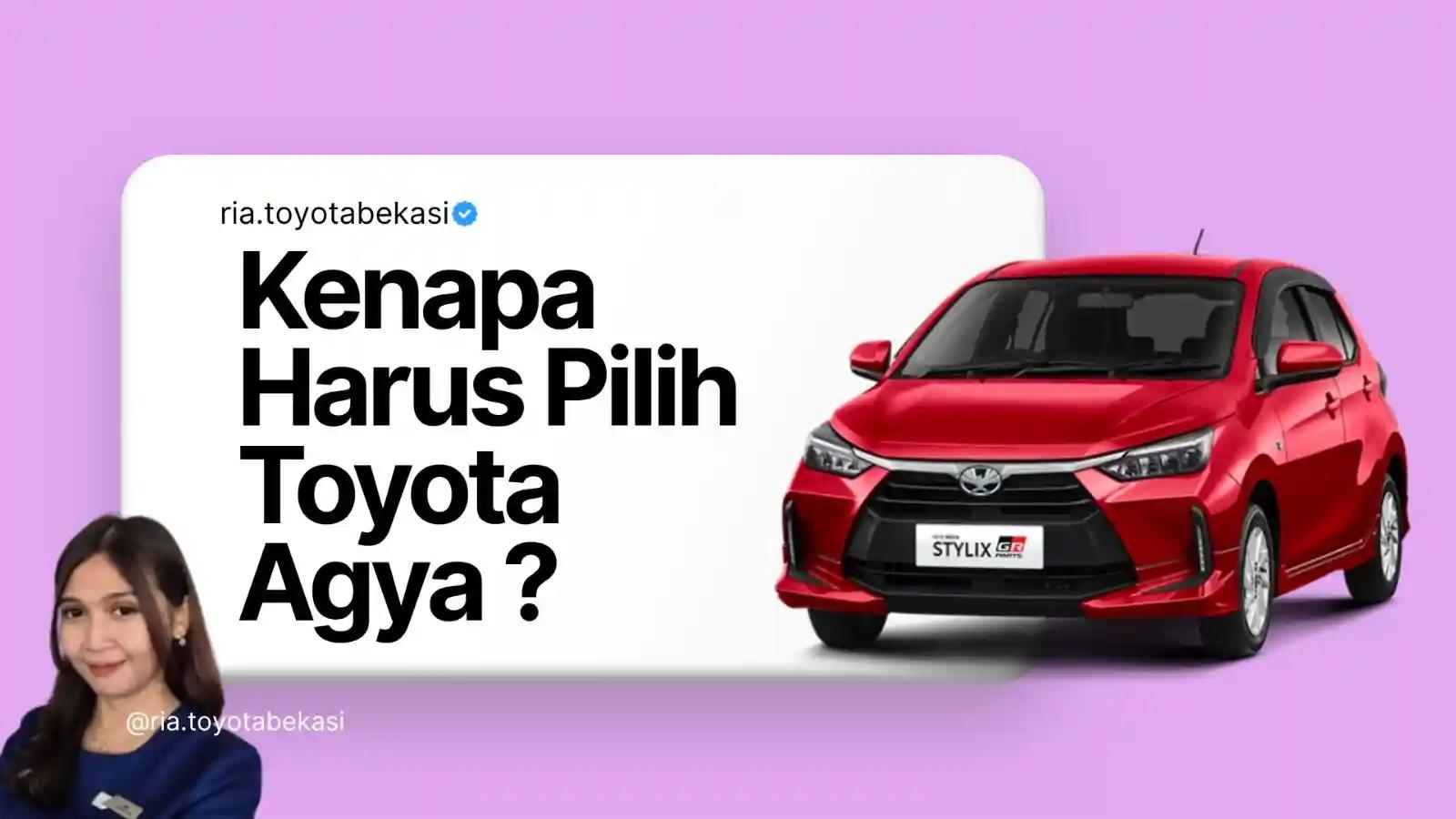 WhatsApp Image 20251107 at 16.06.28.webp