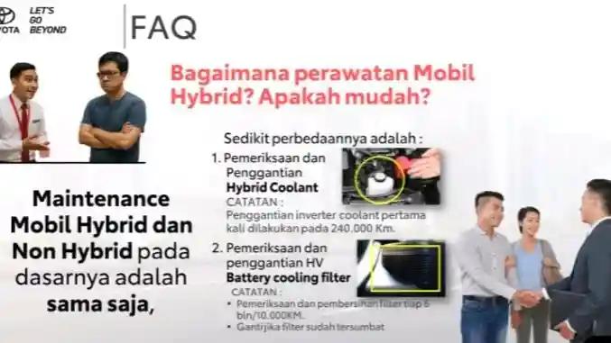 WhatsApp Image 20251124 at 11.04.21.webp