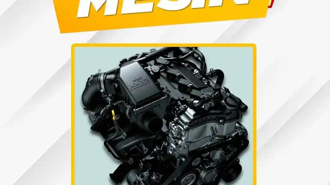 WhatsApp Image 20260112 at 16.30.26 2.webp